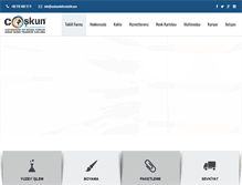 Tablet Screenshot of coskunelektrostatik.com